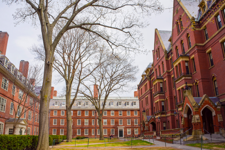 How to Get Scholarships in Harvard University? – YangPress